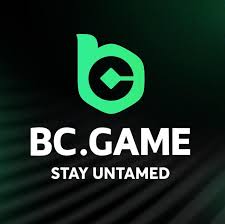 Exploring BC.Game EE Payment Methods Your Guide to Seamless Transactions