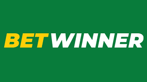 BetWinner Online Sportsbook Your Gateway to Winning