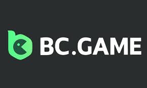 Understanding the Privacy Policy of BC.Game Your Guide to Data Protection