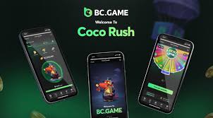 Exploring BC.Game Crypto Casino Your Gateway to Online Gaming