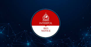 Understanding the Role of Interpol Defense Lawyers 1346242020