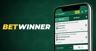 BetWinner Casino Unleashing the Thrill of Online Gaming