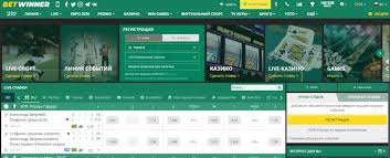 BetWinner Casino Unleashing the Thrill of Online Gaming
