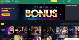 Explore the BetWinner App for Android Features and Benefits