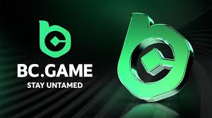 Exploring BC.Game The Future of Online Crypto Casinos