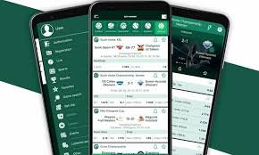 Exploring BetWinner Withdrawal Options Comprehensive Guide