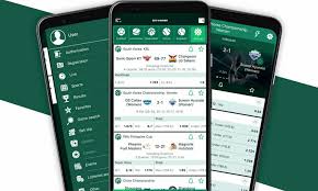 Exploring the BetWinner Platform Features, Benefits, and User Experience