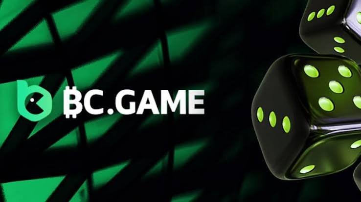 Download the Official BC.Game APK A Complete Guide -333935010